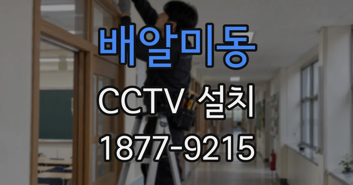 배알미동 CCTV 설치