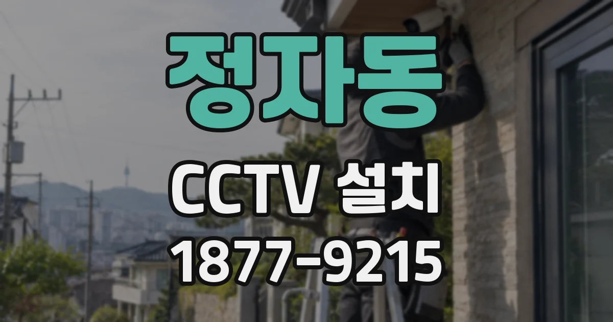 정자동 CCTV 설치