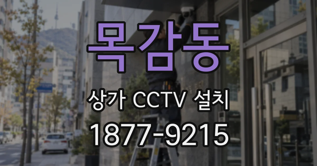목감동 상가 CCTV 설치