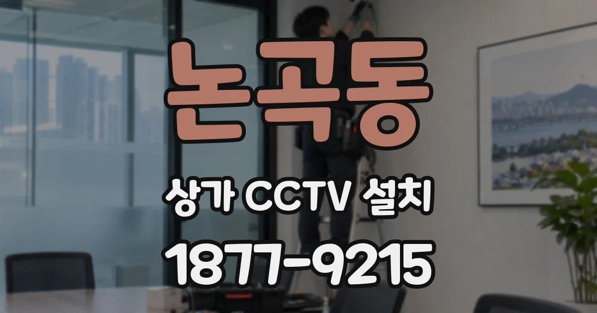 논곡동 상가 CCTV 설치