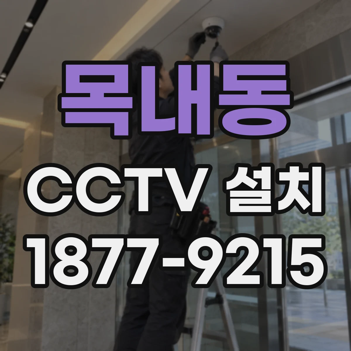 목내동 CCTV 설치
