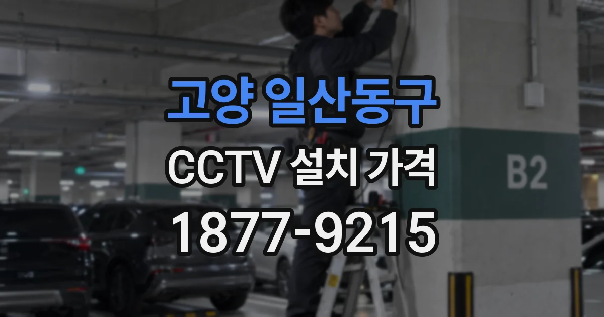고양 일산동구 CCTV 설치 가격