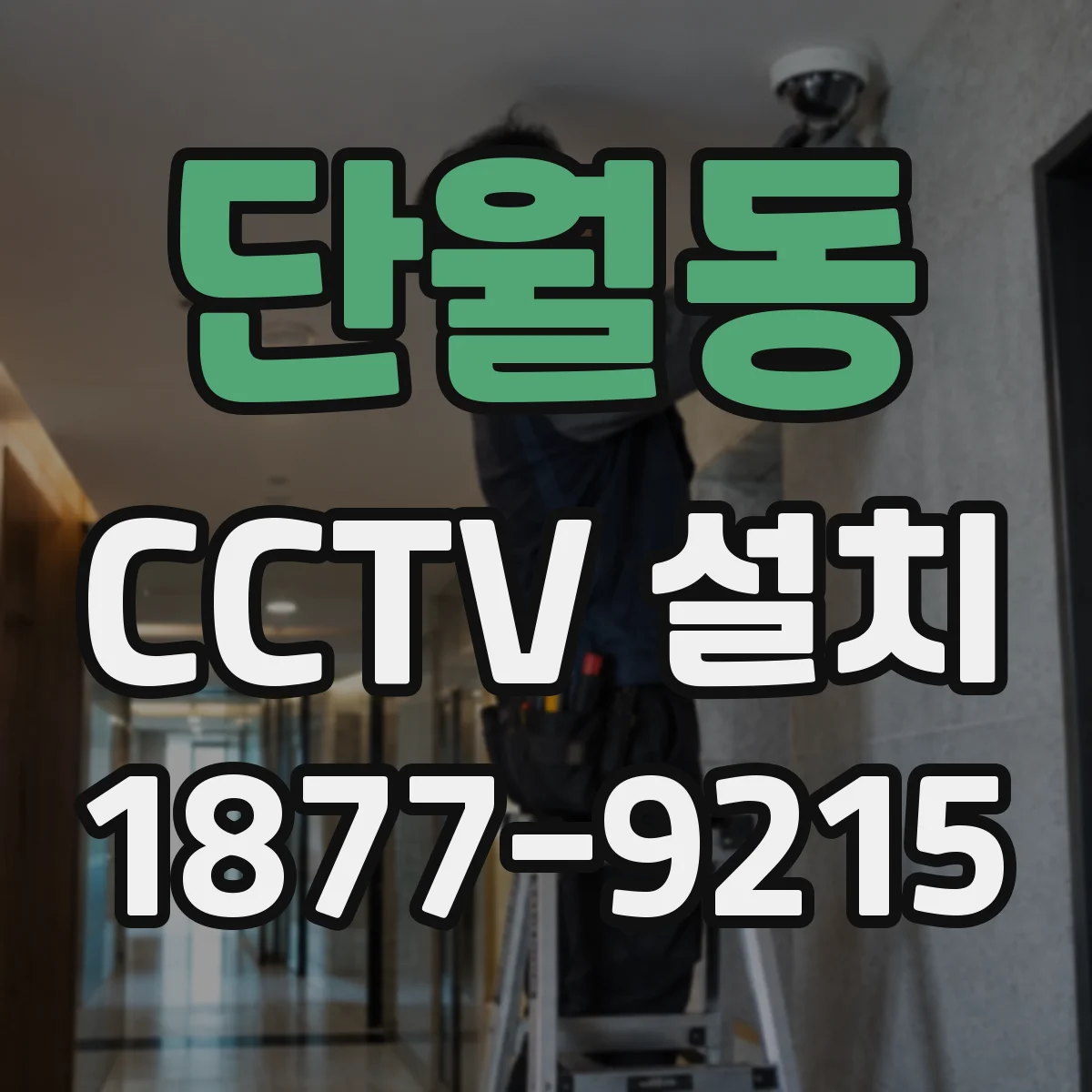 단월동 CCTV 설치
