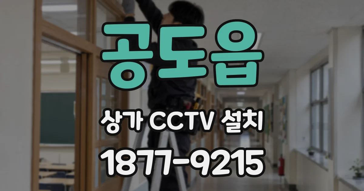 공도읍 상가 CCTV 설치
