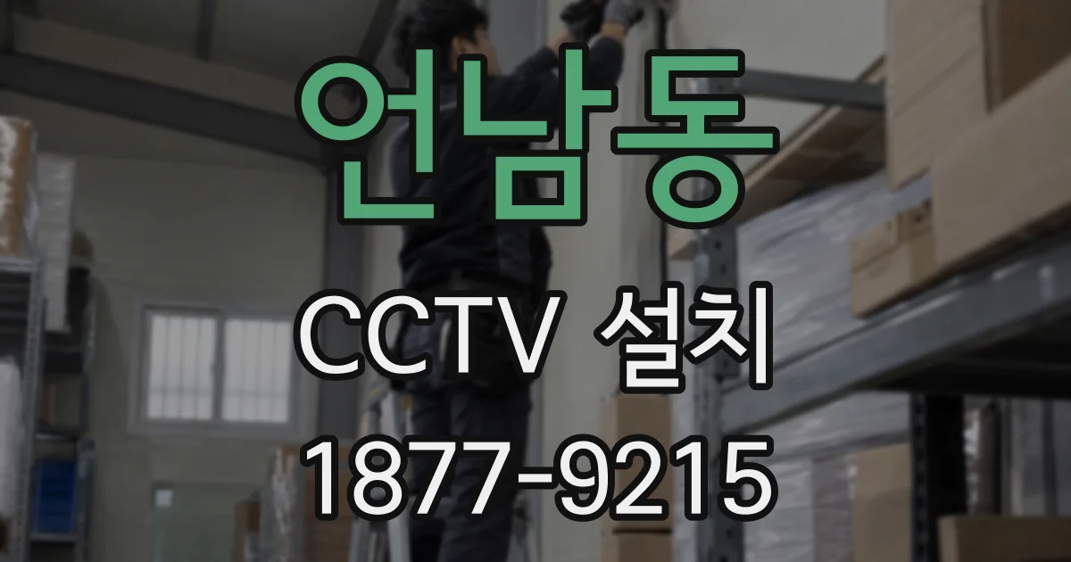 언남동 CCTV 설치