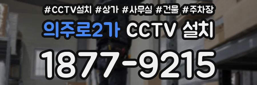 의주로2가 CCTV 설치