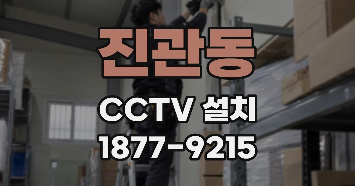 진관동 CCTV 설치