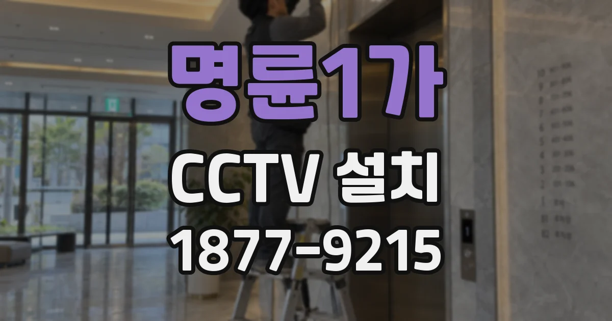명륜1가 CCTV 설치