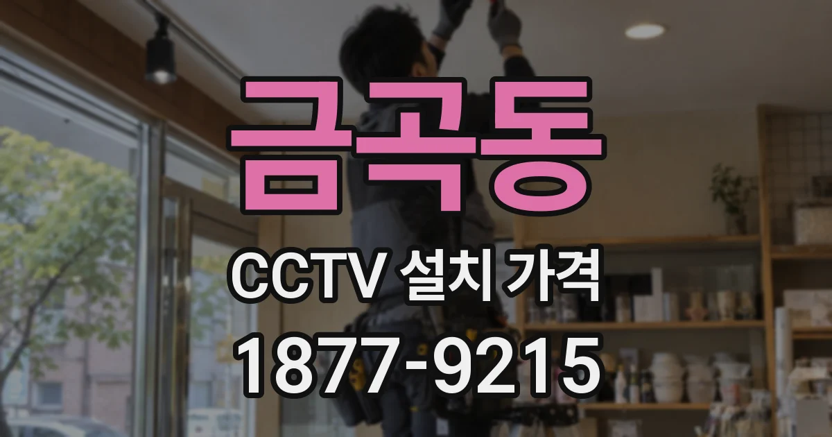금곡동 CCTV 설치 가격