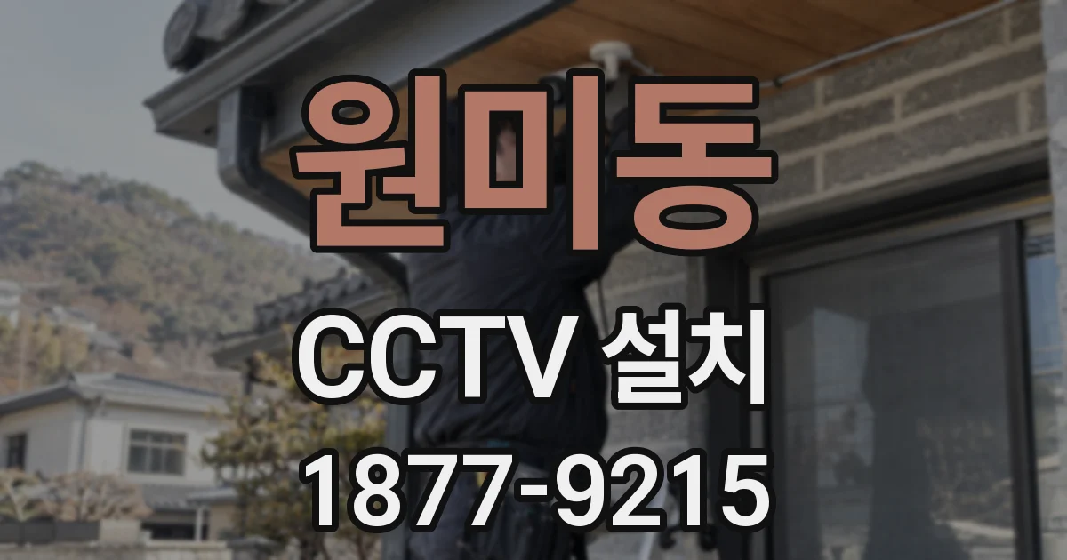 원미동 CCTV 설치