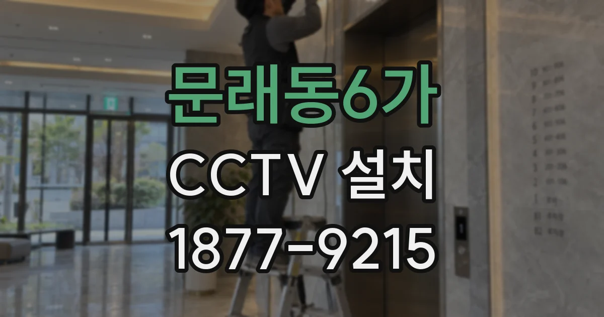 문래동6가 CCTV 설치