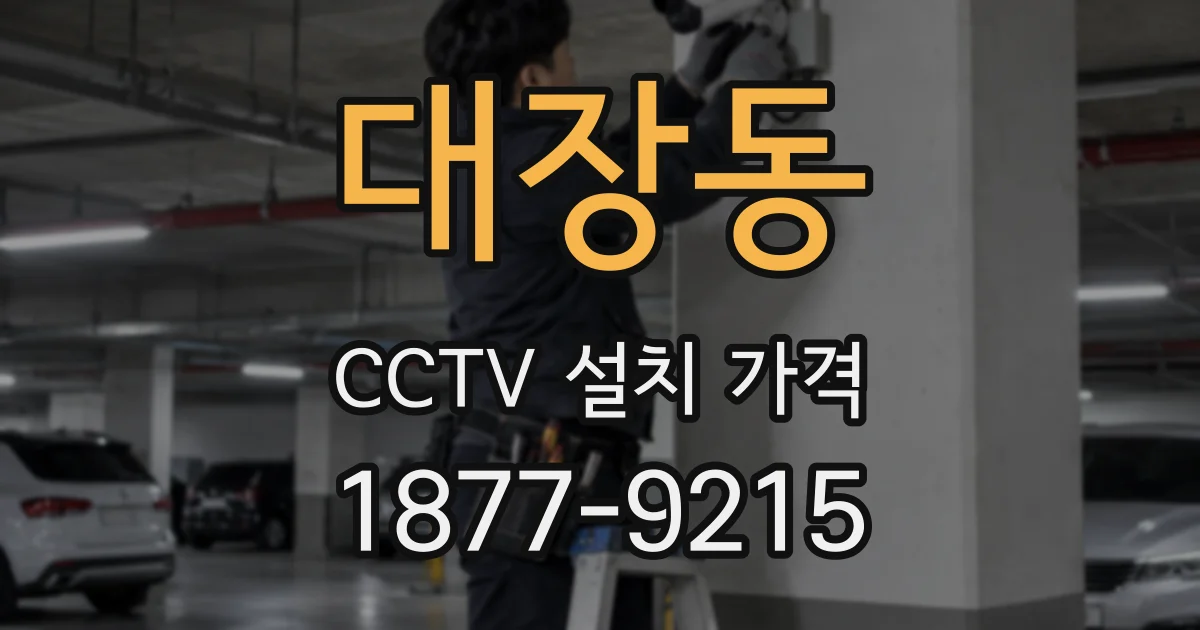 대장동 CCTV 설치 가격