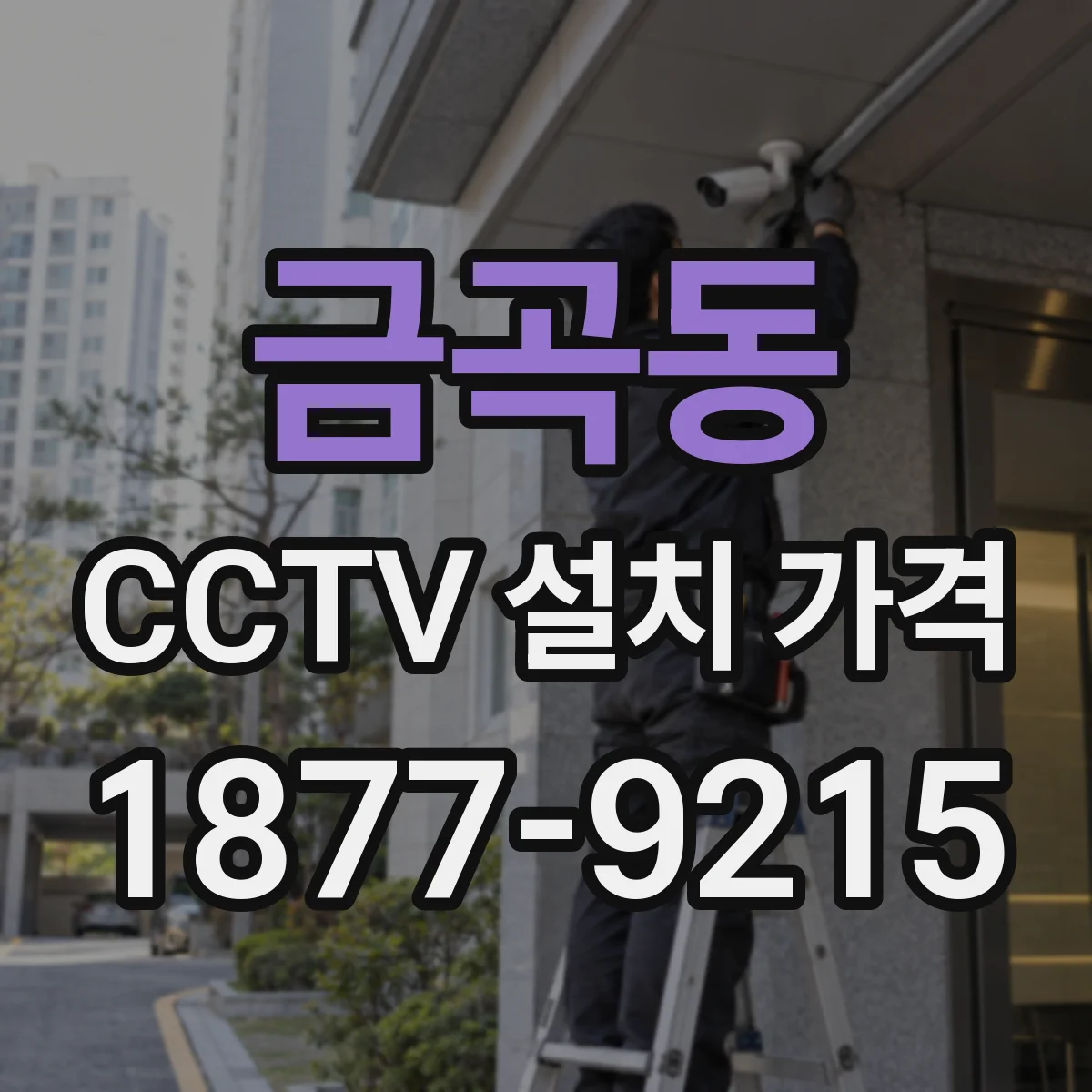 금곡동 CCTV 설치 가격