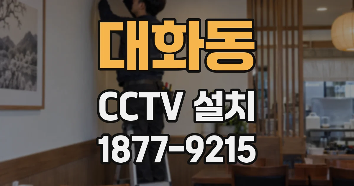 대화동 CCTV 설치