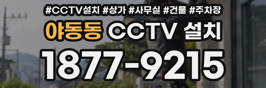 야동동 CCTV 설치