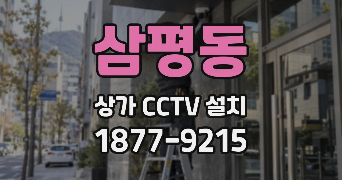 삼평동 상가 CCTV 설치