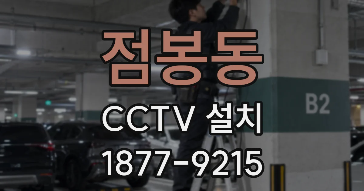 점봉동 CCTV 설치