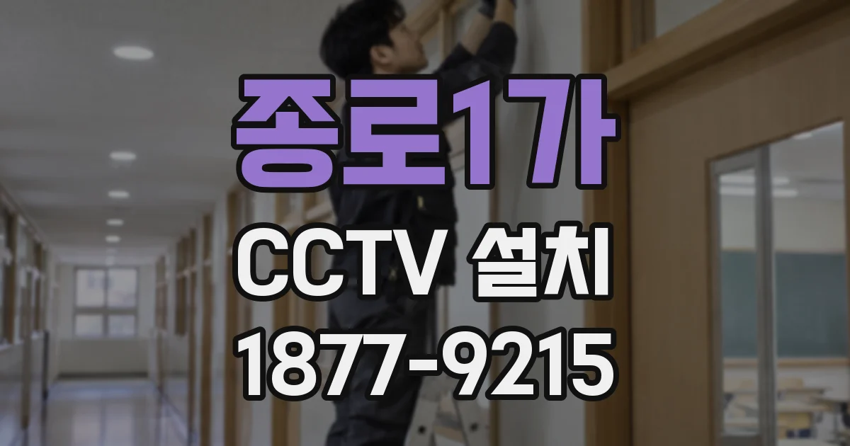 종로1가 CCTV 설치