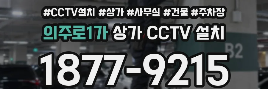 의주로1가 상가 CCTV 설치