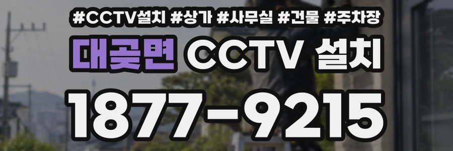 대곶면 CCTV 설치