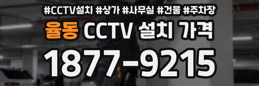 율동 CCTV 설치 가격