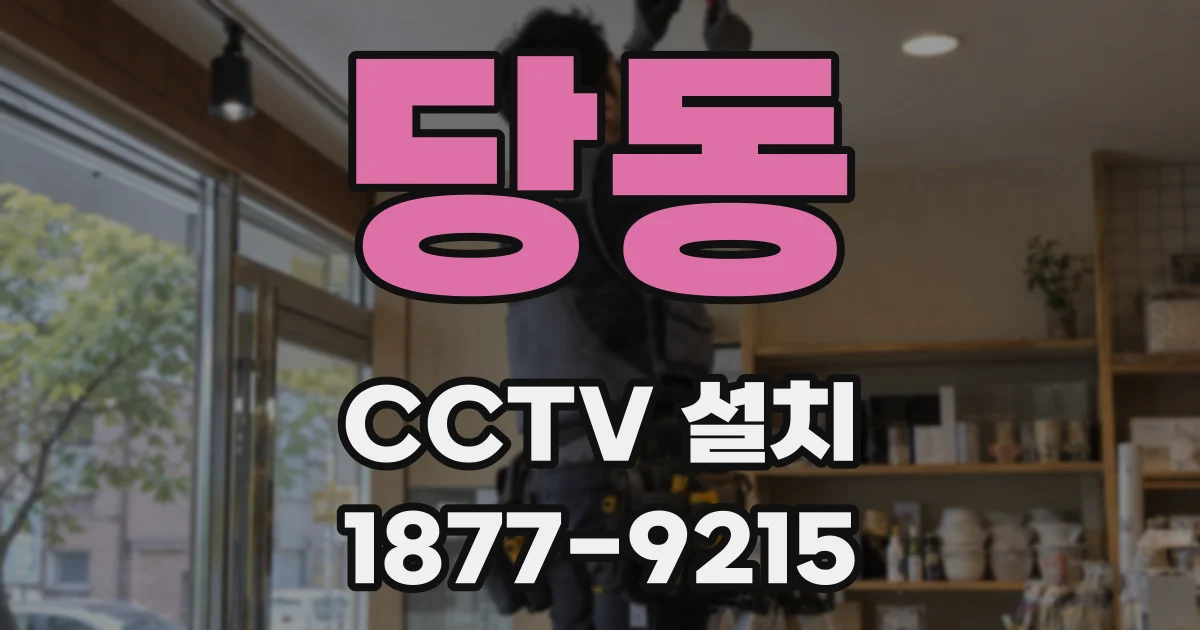 당동 CCTV 설치