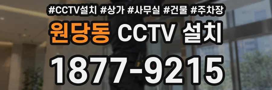 원당동 CCTV 설치