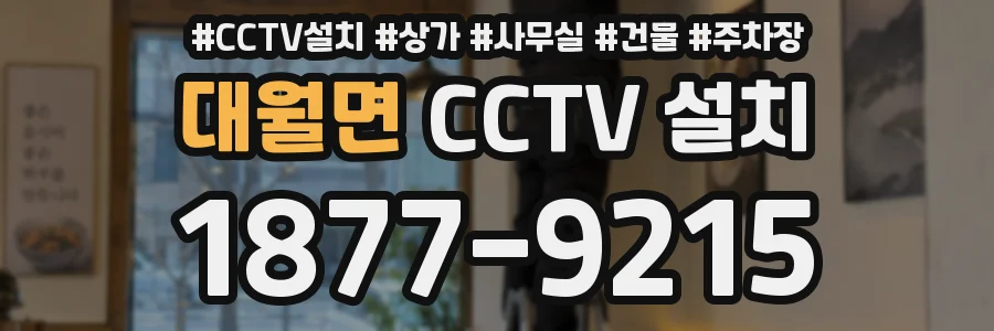 대월면 CCTV 설치