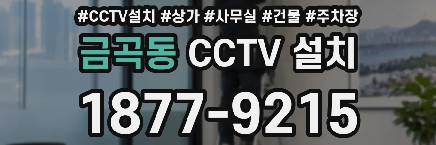 금곡동 CCTV 설치