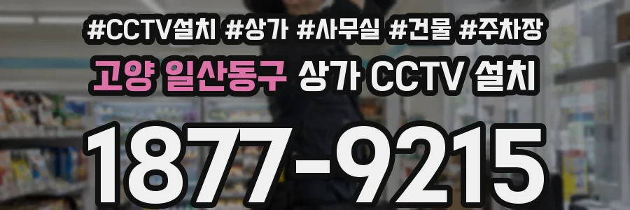 고양 일산동구 상가 CCTV 설치
