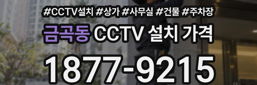 금곡동 CCTV 설치 가격