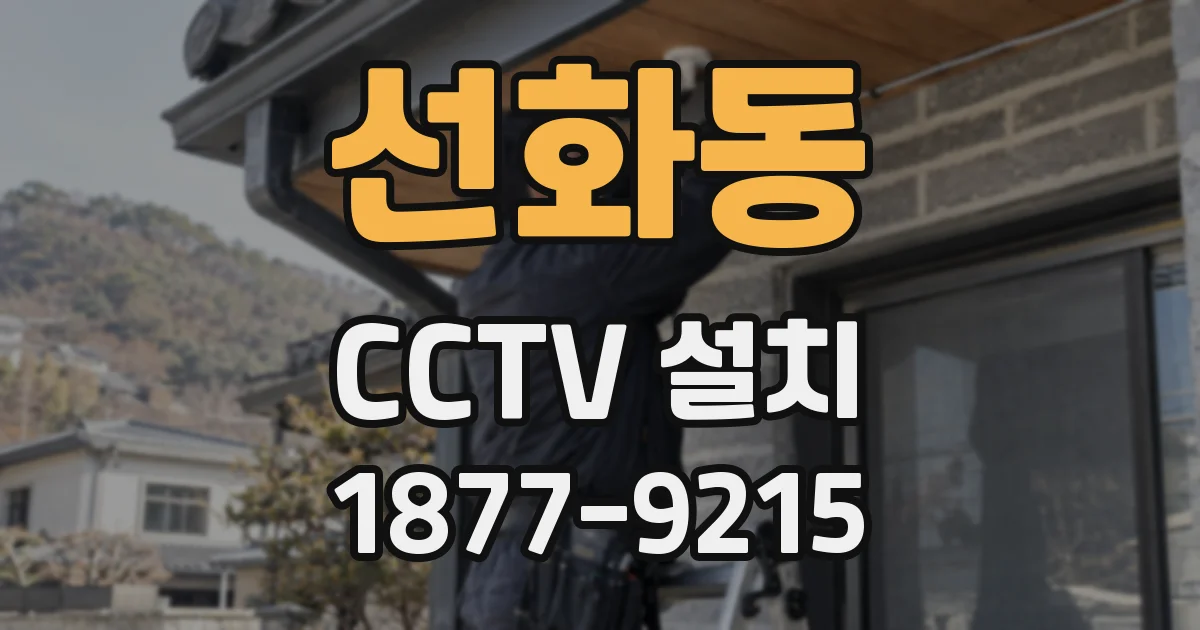 선화동 CCTV 설치