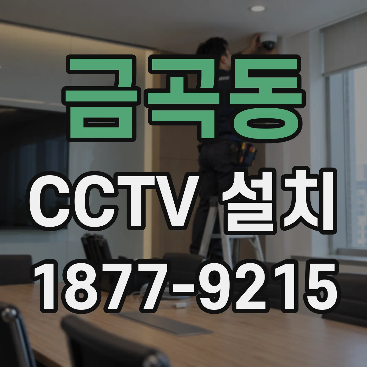 금곡동 CCTV 설치