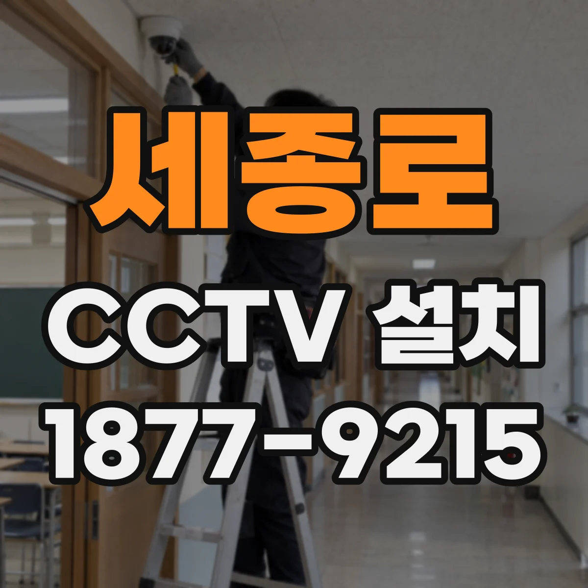 세종로 CCTV 설치