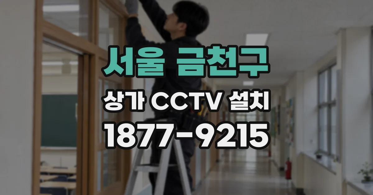 서울 금천구 상가 CCTV 설치
