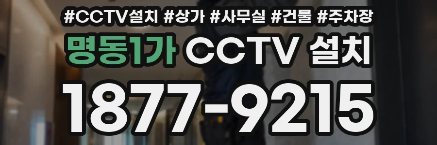 명동1가 CCTV 설치