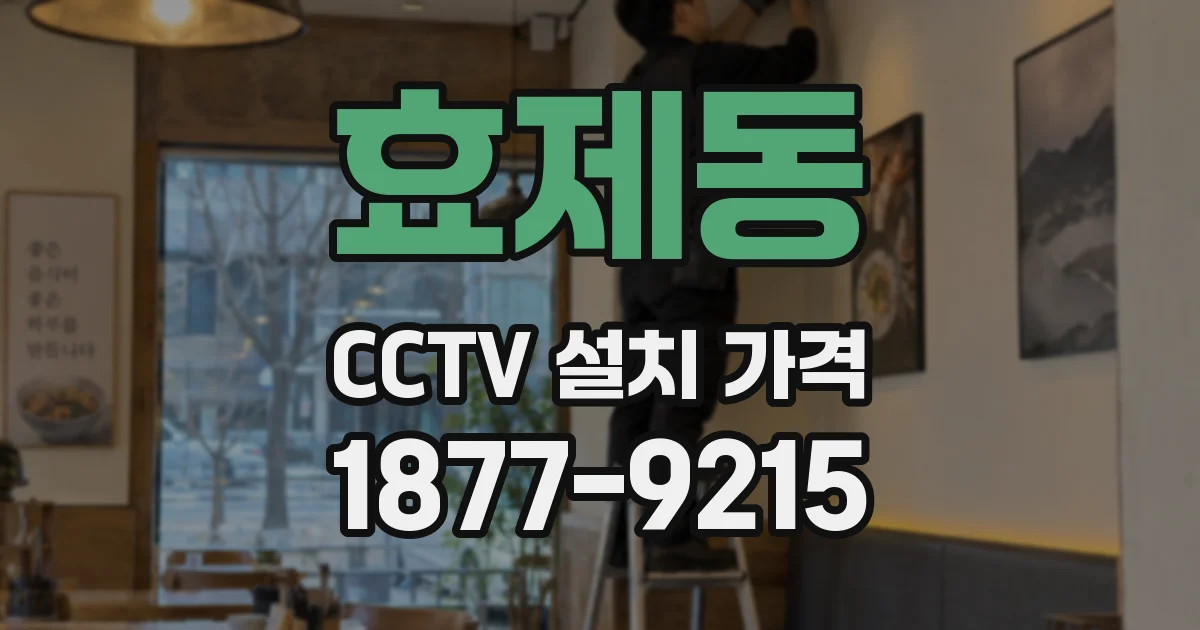 효제동 CCTV 설치 가격