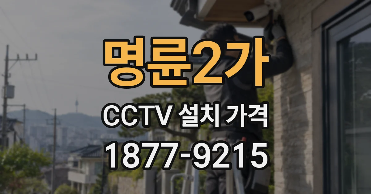 명륜2가 CCTV 설치 가격