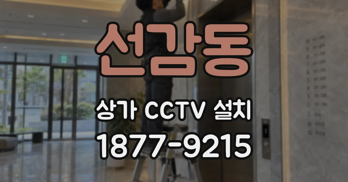 선감동 상가 CCTV 설치