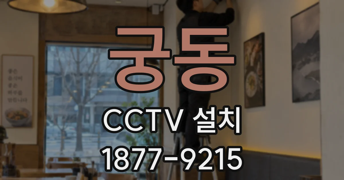 궁동 CCTV 설치
