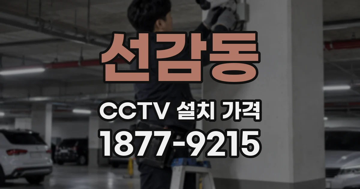선감동 CCTV 설치 가격