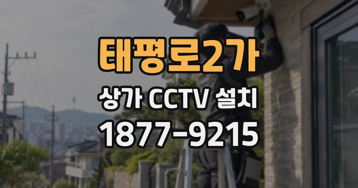 태평로2가 상가 CCTV 설치