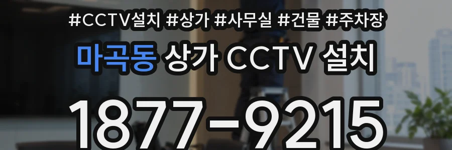 마곡동 상가 CCTV 설치