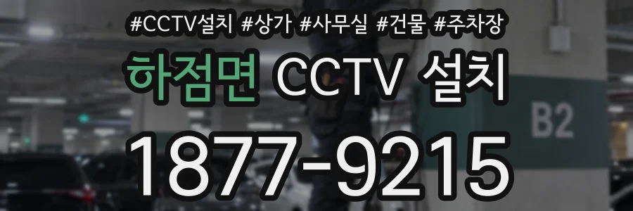 하점면 CCTV 설치