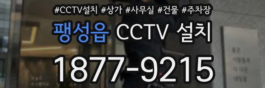 팽성읍 CCTV 설치