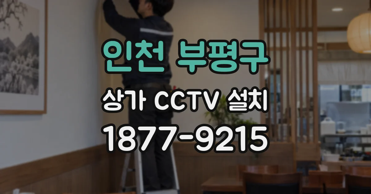 인천 부평구 상가 CCTV 설치