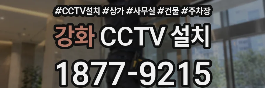 강화 CCTV 설치