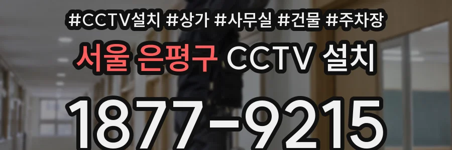 서울 은평구 CCTV 설치