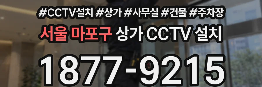 서울 마포구 상가 CCTV 설치