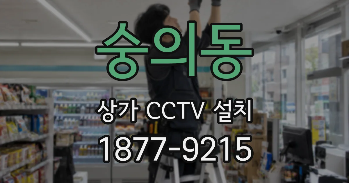 숭의동 상가 CCTV 설치